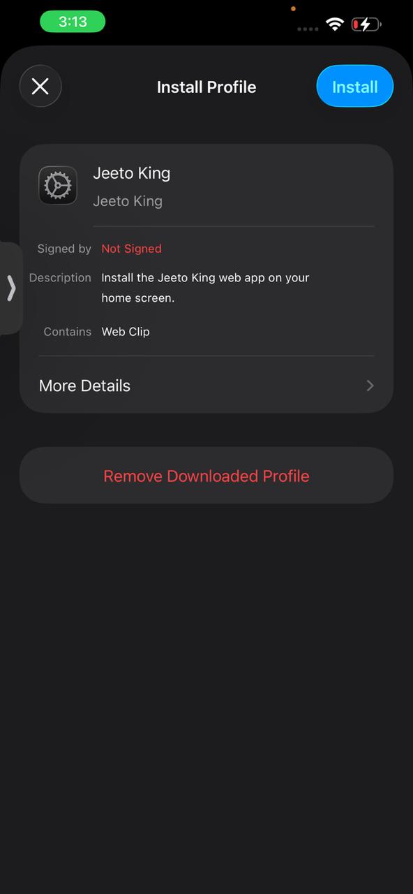Step 5: Open the JEETO KING profile installation screen